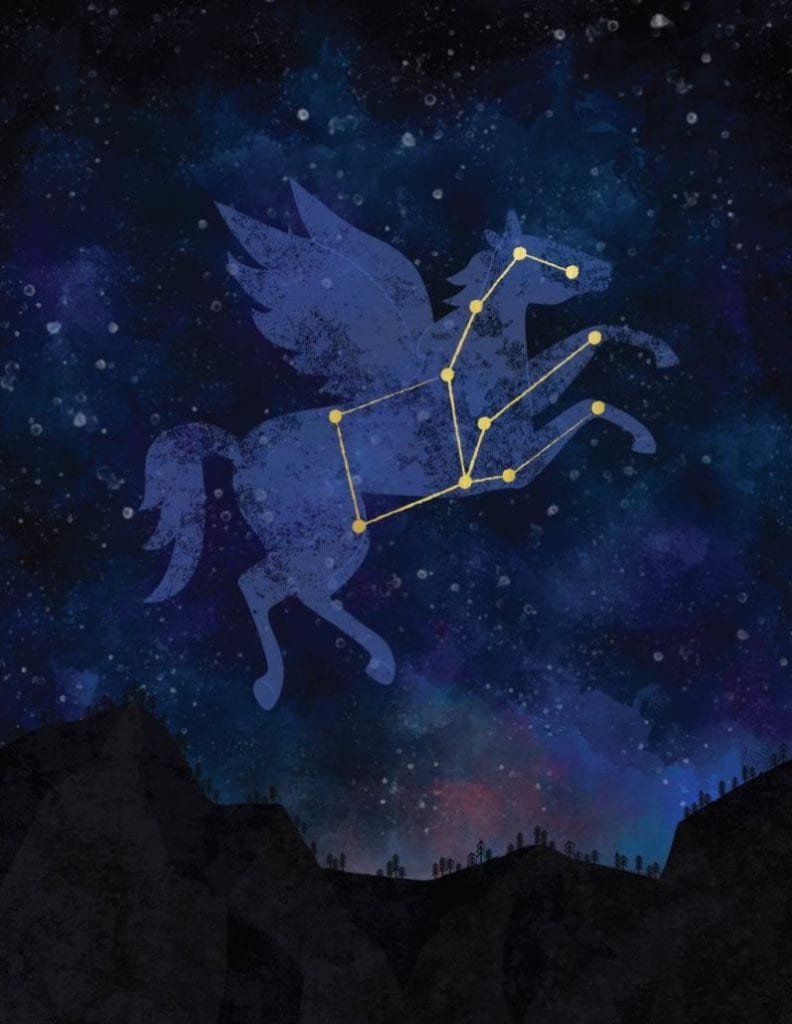 Pegasus horse 792x1024